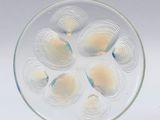 une photo d'une assiette en verre contenant des coquillages