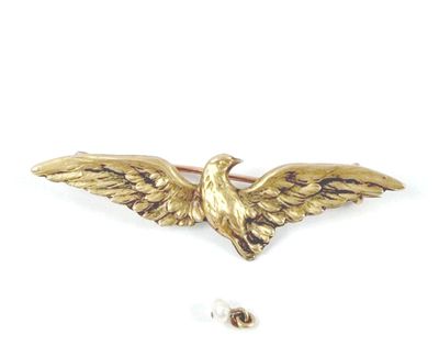 an image of a gold eagle broochle with a white background