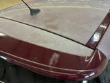 a close up of a car ' s hood with a stick sticking out of it