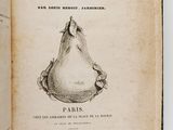 un livre ouvert sur lequel est dessiné le visage d'un chien