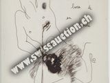 Photo 5/16 du lot