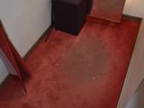 a red carpeted hallway with a chair and a mirror