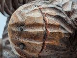 a close up of a wooden sculpture of a bear