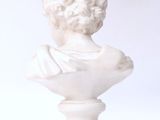 a white marble bust of a man on a pedestal