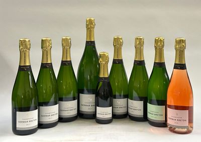 six bouteilles de vin sont alignées sur une surface blanche