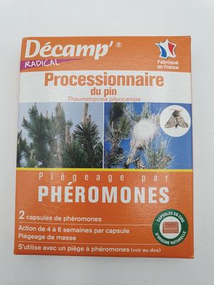 phéromones phéromones phéromones phéromones phéromones phéromones phéromones phéromones