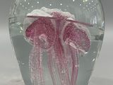 a glass vase with a pink jelly inside of it