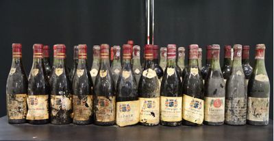 plusieurs bouteilles de vin alignées sur une table