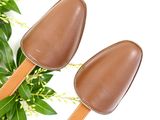 pair of brown leather spoons on a white background with green leaves