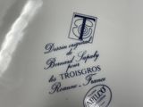 an image of a close up of a white plate with a blue and white design