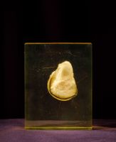 [ARTIFICIALIA] (photo 2)