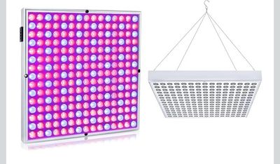 Lampe de croissance La première photo est non contractuelle,…