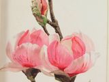a picture of a painting of a pink flower on the wall