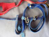 two blue and red leashes on a white surface