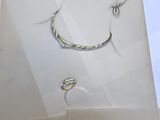 a picture of a necklace and a pair of earrings in a box