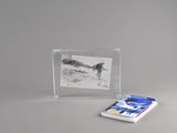 une photo d'une photo d'un oiseau dans un cadre photo