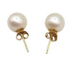 a pair of pearl earrings on a white background