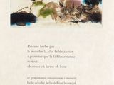 Photo 2/4 du lot
