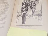 un livre ouvert avec l'image d'un oiseau dessus