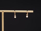 a pair of gold earrings with pearls hanging from them