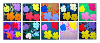 six fleurs de couleurs différentes sont disposées en rangées sur un fond blanc