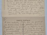 une vieille carte postale accompagnée d'une lettre manuscrite et d'une photo de chat