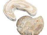 a picture of a piece of rock and a piece of wood