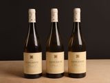 trois bouteilles de vin posées sur une table en bois