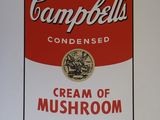 campbell ' s condensed cream of mushroom soup