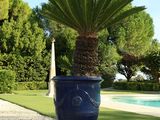 a large blue pot with a palm tree in it on a gravel path