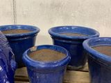 several blue pots are lined up on a pallet in front of a white wall