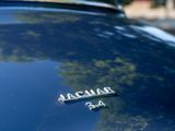 a close up of a car ' s emblem on the hood of it