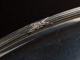 a bug that is sitting on the edge of a silver plate