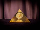 photograph of a dandelion sitting in a pyramid on a table