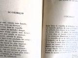 un livre ouvert avec l'image d'un chat dessus