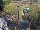 un jet d'eau au milieu d'un champ d'herbe