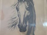 drawing of a horse ' s head in a frame on a table