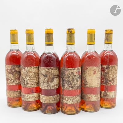 six bouteilles de vin sont alignées sur une surface blanche