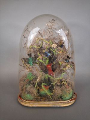 une cloche en verre contenant un oiseau