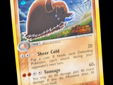 un gros plan d'une carte Pokémon sur laquelle figure l'image d'un ours