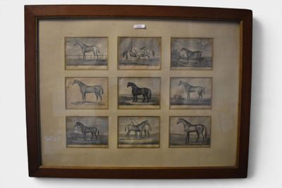 une photo représentant des chevaux, placée dans un cadre