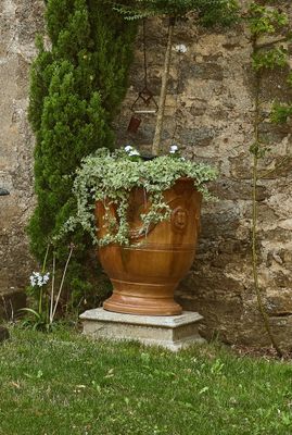 un chat assis par terre à côté d'une plante en pot