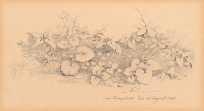 an old drawing of a bunch of flowers on a table