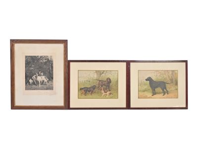 trois reproductions encadrées représentant des chiens et un chien dans un champ