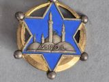 une image représentant un insigne orné d'une étoile, avec une mosquée en arrière-plan
