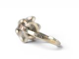 an image of a silver ring on a white background