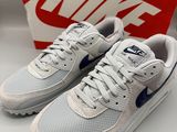 La Nike Air Max est une chaussure blanche et bleue rehaussée de touches de bleu