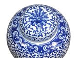 an image of a blue and white bowl with a lid