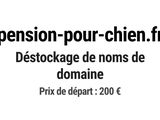 Photo 1/1 du lot