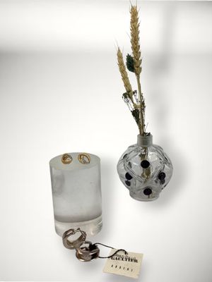 un vase en verre contenant une plante, à côté d'un porte-clés